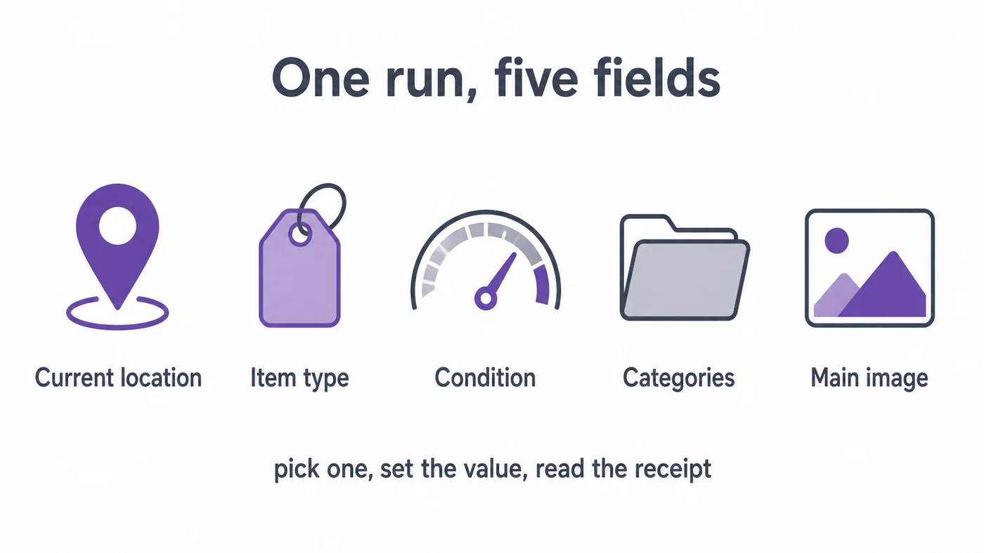 Infographic: one run, five fields — current location, item type, condition, categories and main image